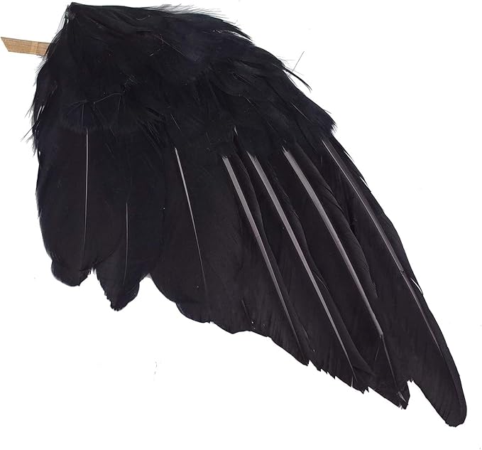 2-Pack Realistic Crows Lifesize Extra Large Handmade Black Feathered Crow for Halloween Decorations Birds, L (13 inch+12 inch)