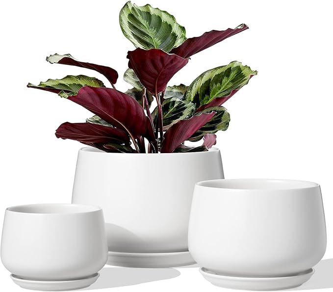 LE TAUCI Ceramic Plant Pots, 4.1+5.1+6.5 inch, Set of 3, Planters with Drainage Hole and Saucer, Indoor Flower Pot with Hole Mesh Pad, Gifts for Mom, White
