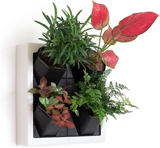 Self Watering Wall Planter by Inspiration+Jungle