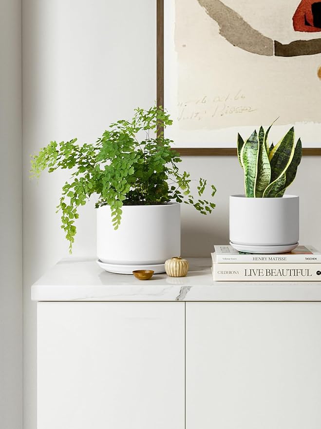 LE TAUCI Plant Pots Indoor, 4.3+5.3+6.8 Inch, Set of 3, Ceramic Planters with Drainage Hole and Saucer, Modern Indoor Flower Pot with Hole Mesh Pad, Gifts for Mom, Classic White