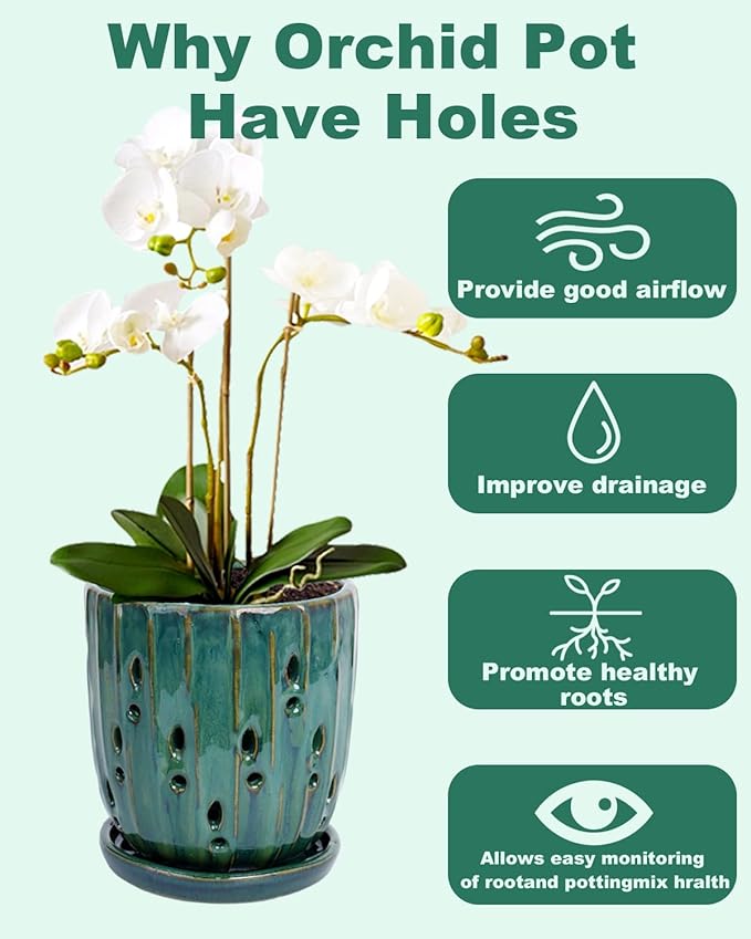 vensovo 6 Inch Ceramic Orchid Pot - Orchid Pot with Holes for Repotting, Ceramic Planter with Saucer for Indoor/Outdoor Plants, Green