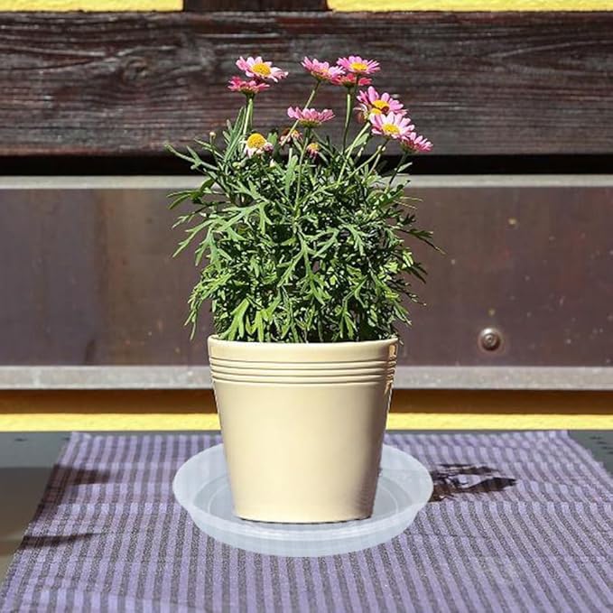 Plant Saucer 6 Pack of 12 inch, Clear Plastic Flower Plant Pot Saucer, Heavy Duty Plant Drip Trays Saucers for Indoor, Plant Water Tray for Planters
