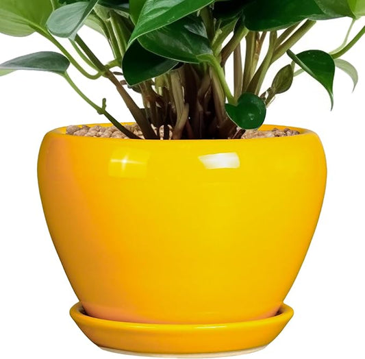 Ceramic Pot for Plants - 6 Inch Plant Pot Glaze Modern Decorative Round Planter with Drainage Hole and Saucer for Home Patio Room Office House Decor, Yellow