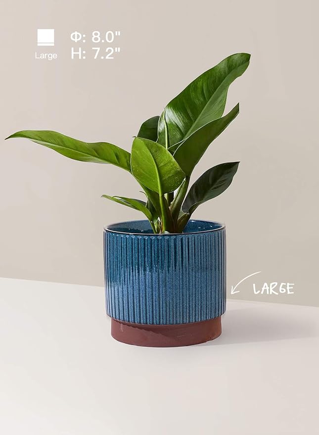 LE TAUCI Ceramic Pots for Plants, 8+6.7+5.5 Inch Plant Pots Indoor, Flower Pot with Drainage Holes, Medium Cylinder Planters for Indoor House Plants, Set of 3, Blue