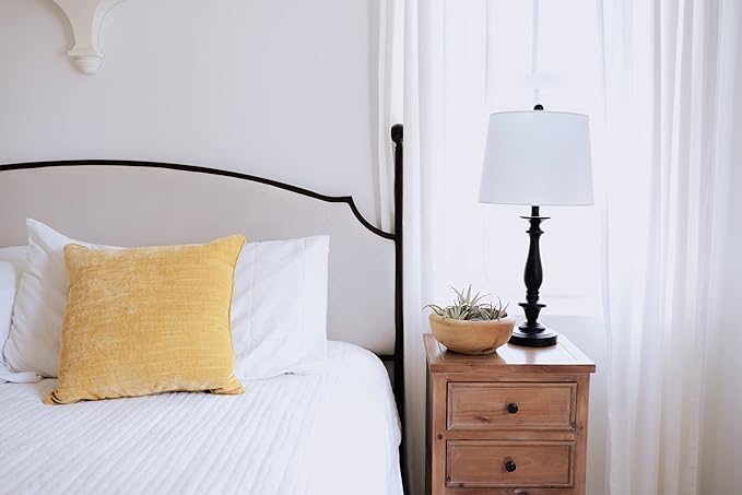 Air Plant Shop 20 Pack Tillandsia Air Plant Grab Bag of Premium Medium & Large Plants- Wholesale and Bulk - Succulents - Live Tillandsia - Easy Care Indoor and Outdoor House Plants