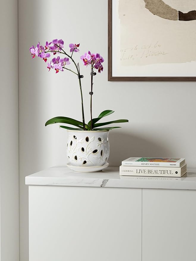 LE TAUCI Ceramic Orchid Pot, 6.5 Inch Orchid Pots with Holes, Orchid Planter for Repotting, Indoor Flower Plant Pot with Drainage and Saucer, Arctic White