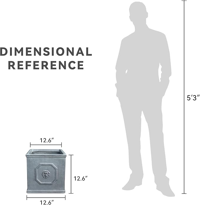 Kante Square Lion Head Concrete Planter, Classic English Style Plant Pot with Drainage Hole and Rubber Plug for Indoor Outdoor Garden Patio Home, 12.6"x12.6"x12.6" Antique Gray