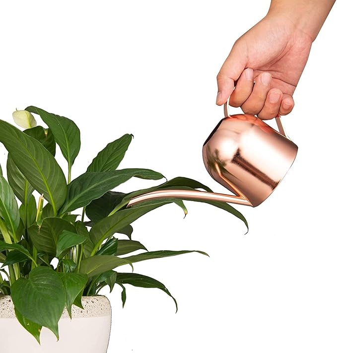 IMEEA Small Watering Can for Indoor Plants Stainless Steel Indoor Watering Can with Long Spout, 15oz/450ml