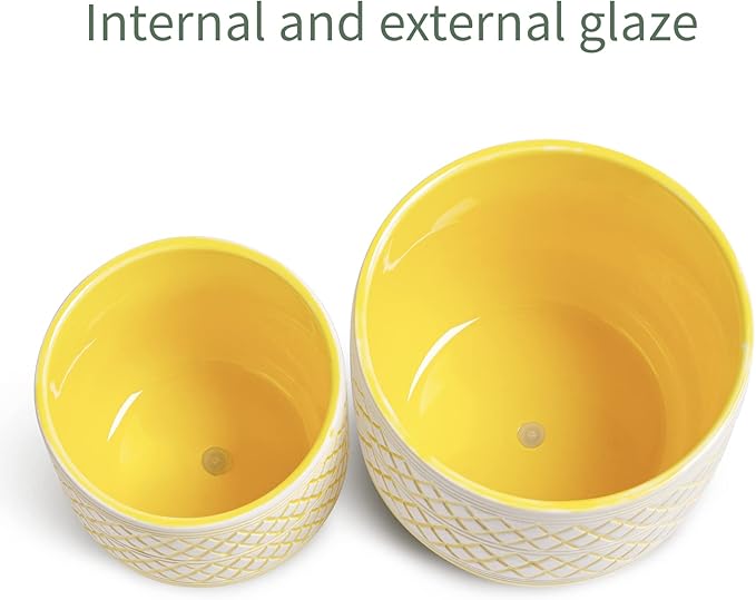 Ceramic Plant Pots, 6 + 4.7 inch Yellow Plant Pot, Flower Pots for Indoor Plants， Planter with Drainage Hole for Succulent Orchid Snake Plants Cactus