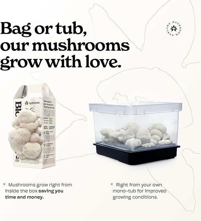 Lion's Mane Mushroom Grow Kit | Grow Your Own Fresh Gourmet Mushrooms at Home | Edible Indoor Mushroom Growing Kits Great Gift