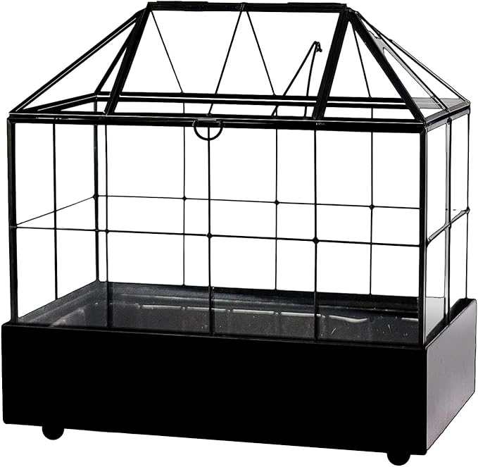 Large Tall Plant Terrarium Glass Greenhouse with Lid and Tray, Indoor Tabletop Orchid Succulent Cacti Kit 9.5'X9.8'X5.6'