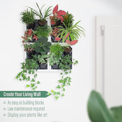 Self Watering Wall Planter - Image 5