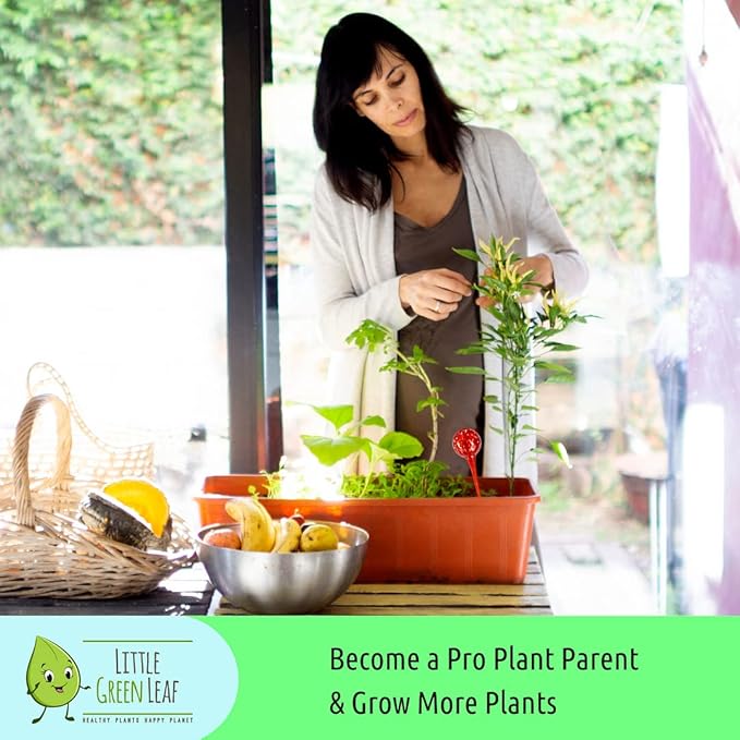 LGL Plant Watering Globes - Automatic Self Watering Globes. Decorative Self Watering Planter Inserts Made From Hand-Blown Durable Glass. Self Watering Spikes to Support Plant Health. 4 Pack, Jumbo.