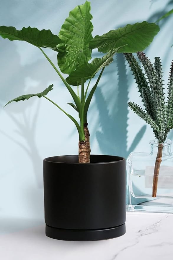 Plant Saucer Pot Tray Planter Saucers 4 5 6 7 8 9 10 11 12 Inch Black 4 Pack for Indoors Outdoor, Durable Sturdy Ceramic Flower Drainage Tray for Glazed Pots Base (4.7 Inch-Black)