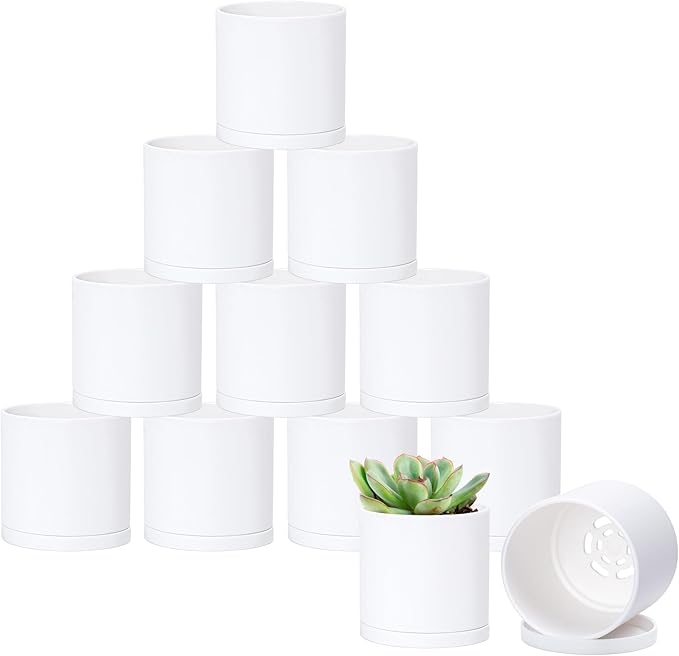 D'vine Dev 12 Pack 3 Inch Mini Plastic Plant Pots, Small Garden Planters for Plant with Drainage Holes and Saucers, White Color, 74-Z-C-4
