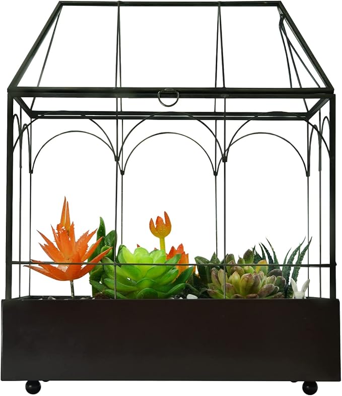 Large Tall Glass Plant Terrarium – House Succulent Terrarium Kit with Lip and Tray Glass Greenhouse Terrarium for Plant 9.5”X5.7”X11.4”