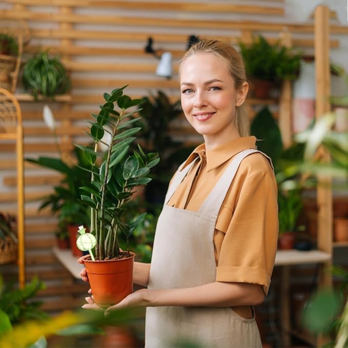 2 PCS Plant Self Watering Globes 8.9 Inch Plant Watering Devices Colorful Glass Self Watering Planter Insert for Indoor Outdoor Plants