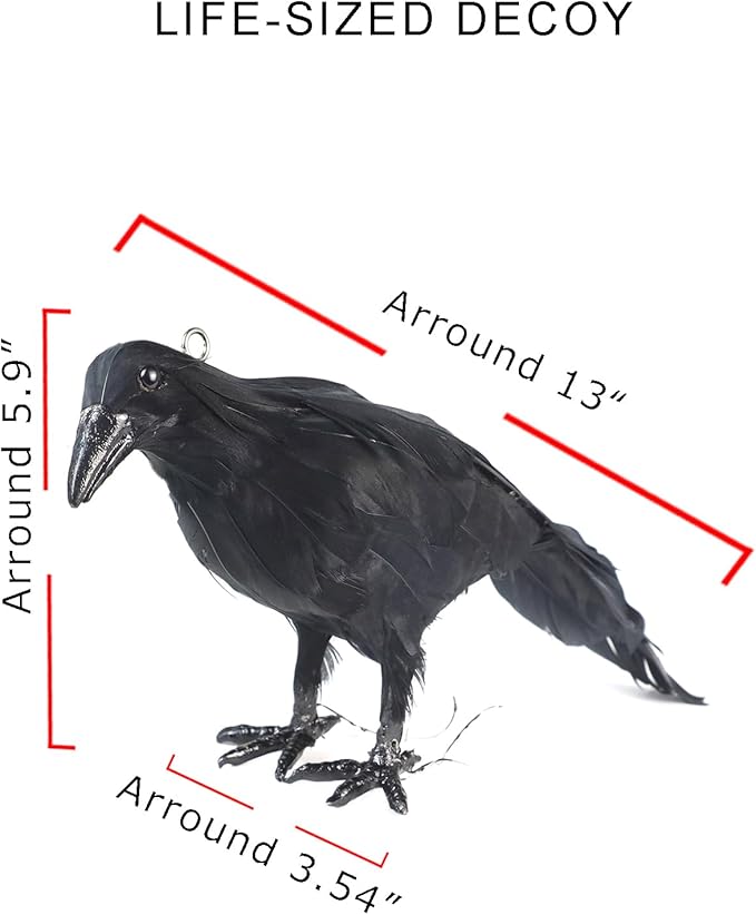 Hanging Dead Crows, 13 Inches Life-Size Raven, Realistic Handmade Fake Decoy for Garden Christmas Halloween Decorations [Face Up+Face Down+Stand] 2PC