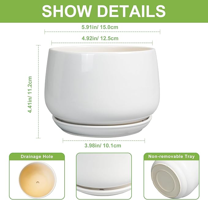 G EPGardening Ceramic Pots for Plants - 6 Inch Planter for Indoor Plants, Flower Pots with Drainage and Ceramic Tray, Modern Office Decor, Gifts for Plant Lovers, White