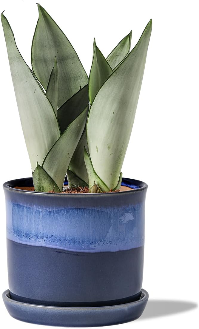 5.8 Inch Plant Pot: Ceramic Planter with Drainage Hole & Saucer - Gradient Blue Flowerpot for Indoor & Outdoor Plants with Separate Tray