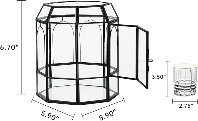 Ferrisland Glass Terrarium Plants with Lid, Black Geometric Terrarium Jar for Succulent Air Carnivorous Plant Moss Snail, Birdcage Shape Tabletop Greenhouse Indoor Decor DIY Presents (Only Terrarium)