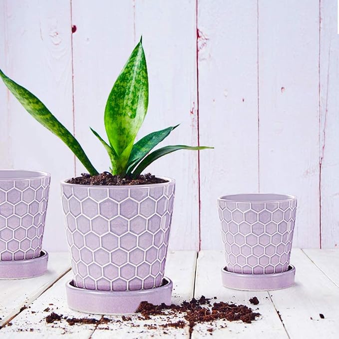 EFISPSS Flower Planter –5 inch Ceramic Plant Pots with Drainage Holes and Ceramic Tray - Gardening Home Desktop Office Windowsill Decoration Gift Set of 4 - Purple