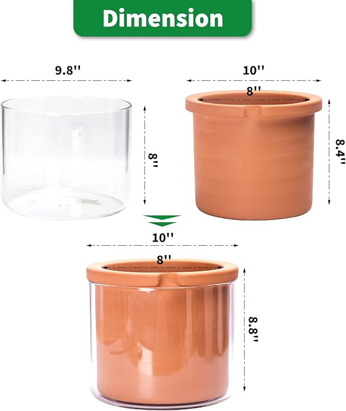 Phoenix Vine 8 Inch Self Watering Planter Pots, Design White Terracotta Pots for Plants, Indoor Cylinder Terra Cotta Pots with Glass Vase, Set of 1, 51-A-H-1