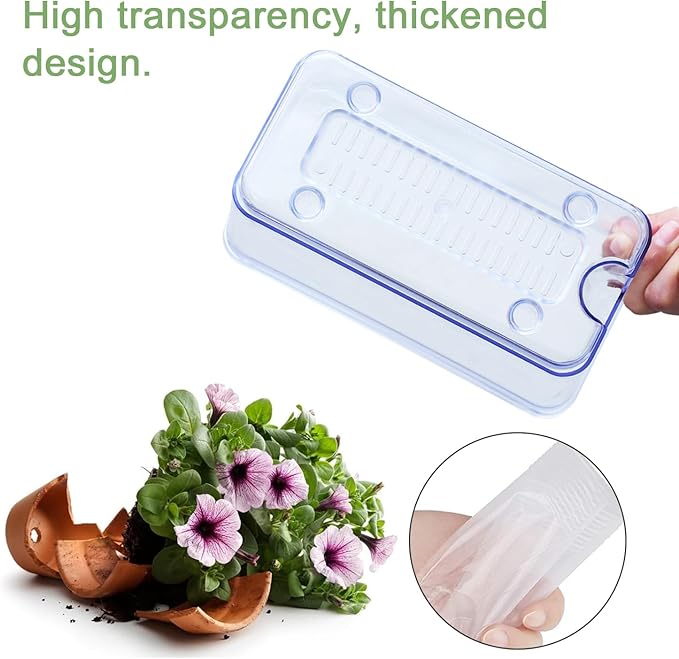 Self Watering Planters for Indoor Plants, 4 Pack Rectangular Clear Plant Pots with Drainage Holes for Spider Plant African Violet, Plant Growth Observations Plant Box for Kids
