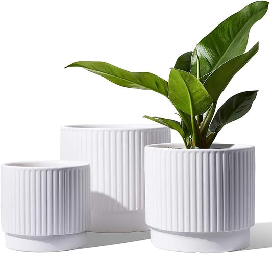 LE TAUCI Ceramic Pots for Plants, 8+6.7+5.5 Inch Plant Pots Indoor, Flower Pot with Drainage Holes, Medium Cylinder Planters for Indoor House Plants, Set of 3, White