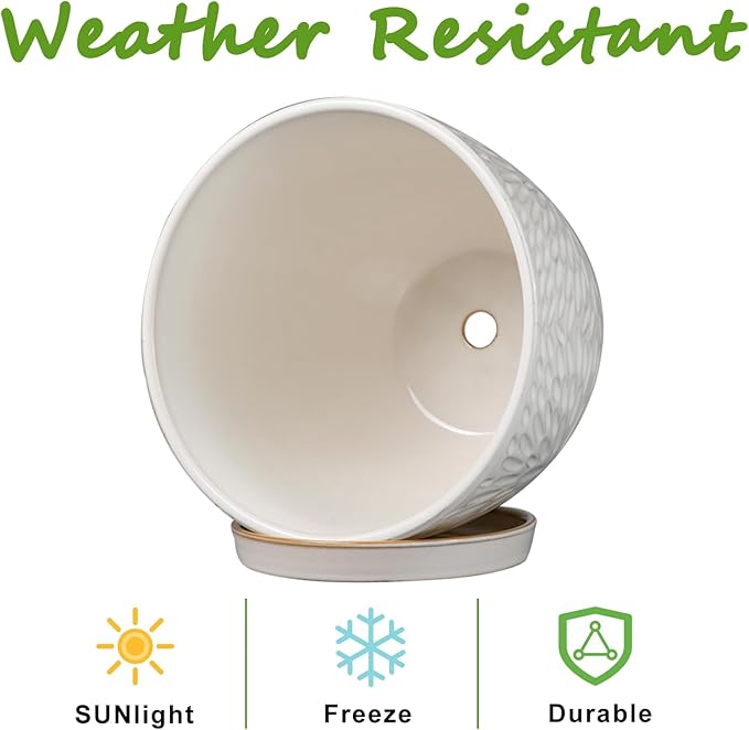 G EPGardening 10 Inch Ceramic Planter Pot with Drainage Hole and Saucer Large Plant Pot for Indoor Plants Outdoor Round Flower Pot for Home Garden Office White