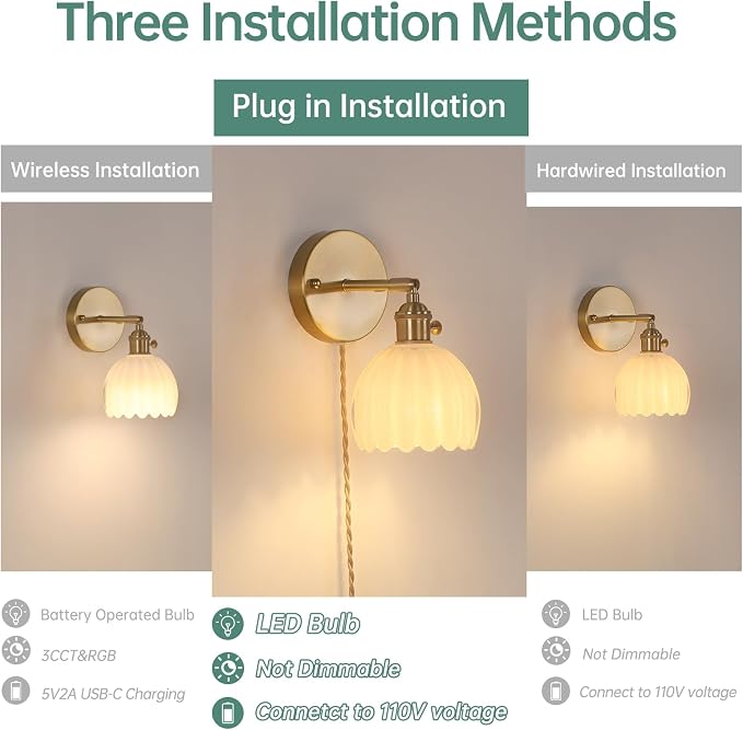 Shenmoyl Plug in Wall Sconce - Image 2