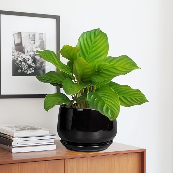 G EPGardening Ceramic Planter 7 Inch - Ceramic Pot for Plants with Drainage and Saucer, Round Plant Pots, Modern Indoor Outdoor Planter, Home Decor, Garden Gifts, Black