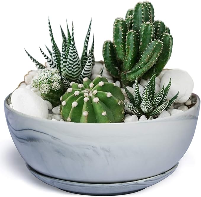 G EPGardening 10Inch Large Planter Pot Marble Pattern Ceramic Succulent Planter Big Plant Pot Succulents Container Flower Pot Indoor Outdoor Decor