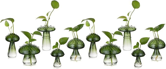 Glasseam Mushroom Plant Propagation Stations: Green Glass Terrarium Jar Set of 10 Cute Planters for Indoor Plants Mini Propagate Station Unique Christmas Birthday Gifts for Women Home Office Decor