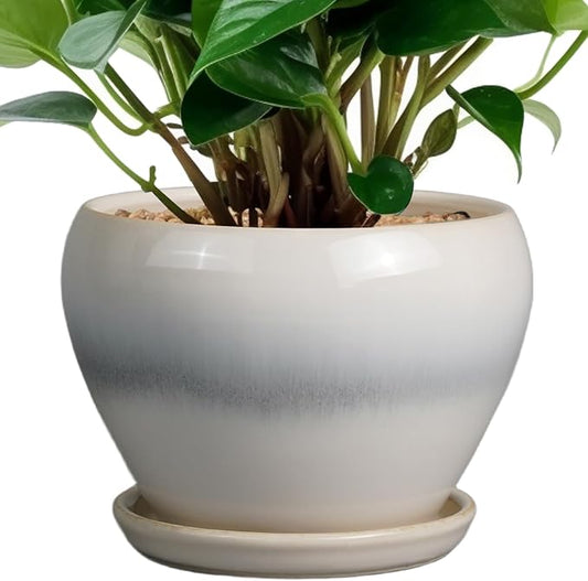 Planter Pot 6 Inch - Ceramic Plant Pot with Drainage Hole and Saucer, Round Glaze Succulent Pot for Plants, White