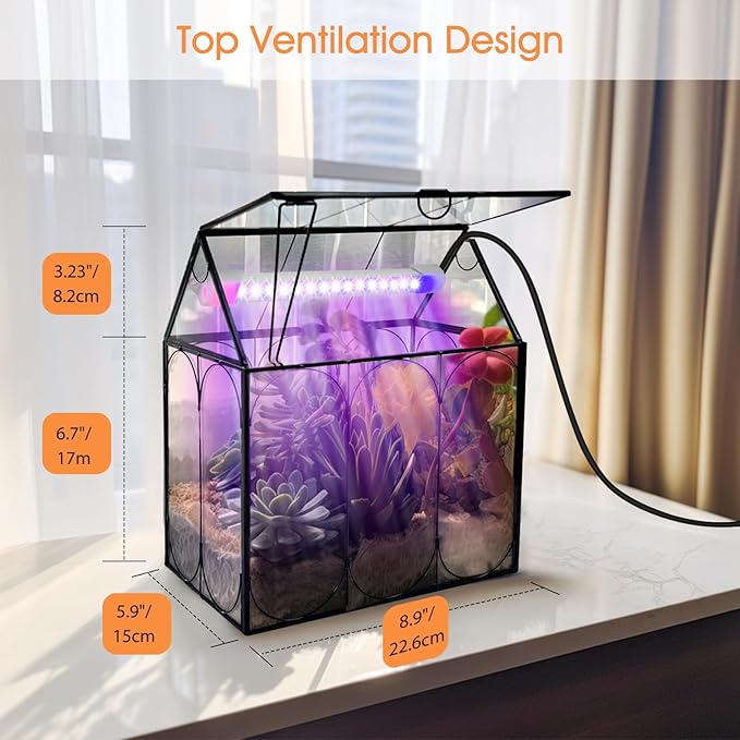 Plant Terrarium Kit with Grow Light, Rifny Large Glass Terrarium Jar with Absorbent Mat and Lid for Venus Fly Trap Succulent Live Air Plants Indoor Home Office Decor (Black, 8.9 x 5.9 x 9.9 inch)