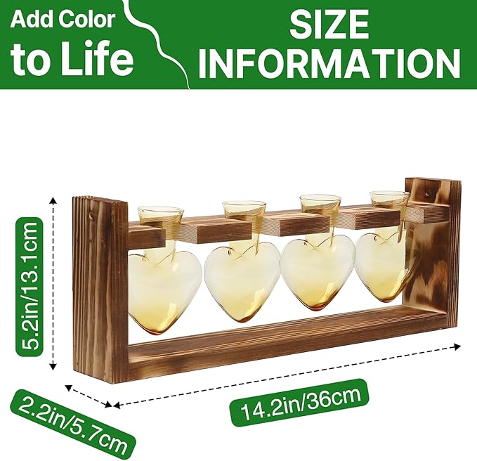 Plant Propagation Stations Heart Plant Terrarium Kit Gift for Women Plant Lover Glass Vases