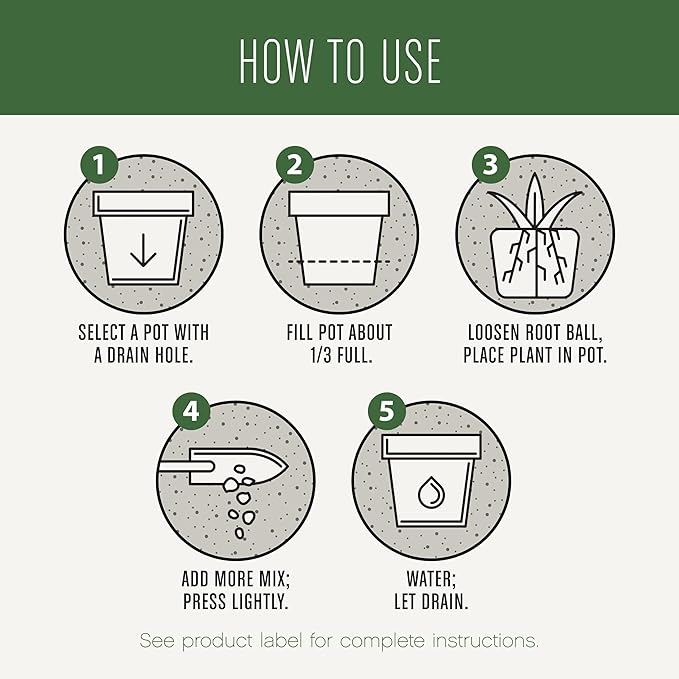 Miracle-Gro Succulent Potting Mix, For Indoor Succulents, Aloe Vera and More, Made with Miracle-Gro Plant Food, 4 qt