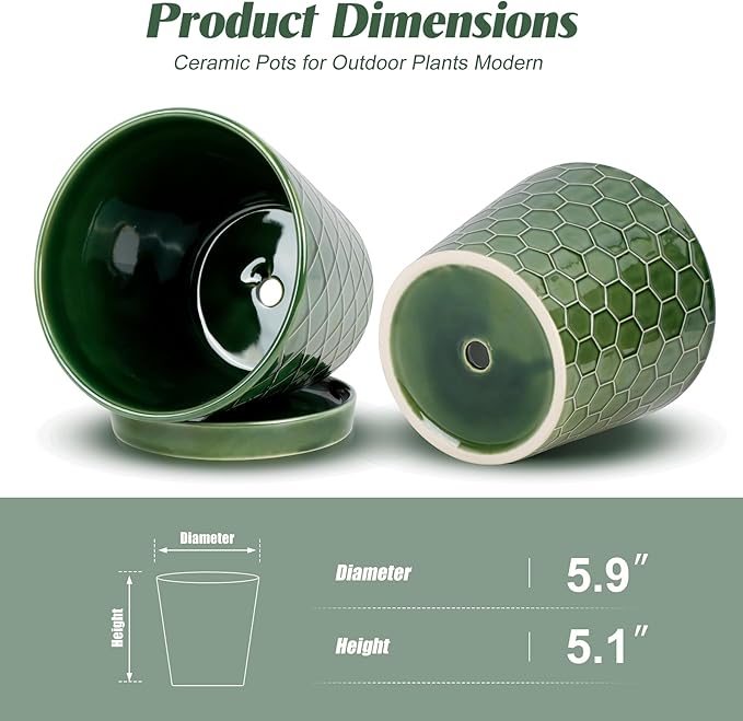 BUYMAX Plant Pots Indoor –6 inch Ceramic Flower Pot with Drainage Hole and Ceramic Tray - Gardening Home Desktop Office Windowsill Decoration Gift, Set of 2(Patina)