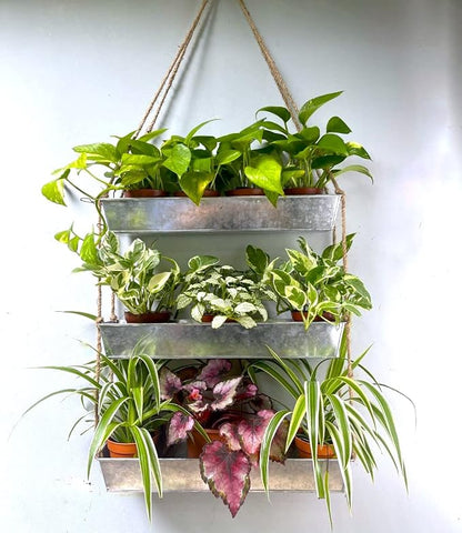LaLaGreen Wall Hanging Planter by L%C3%A1L%C3%A1Green