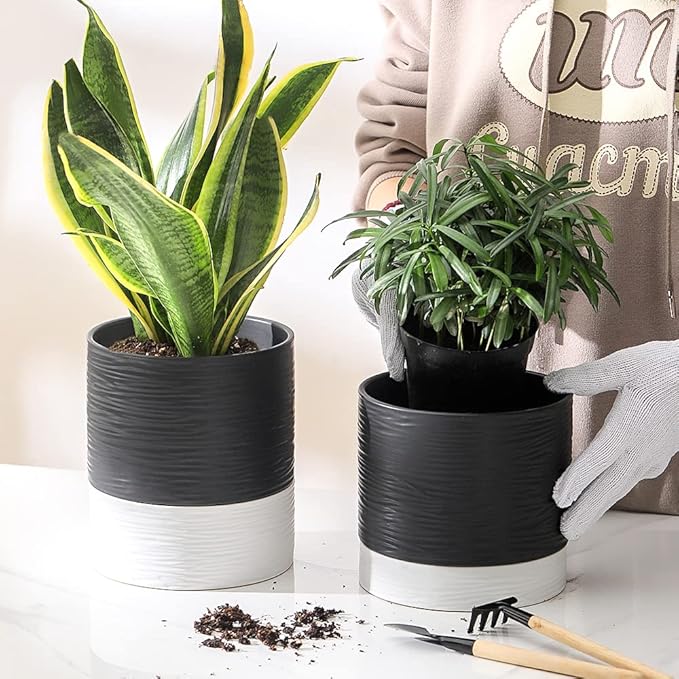 Nihow Ceramic Plant Pot: 6 Inch Planter with Drainage Hole & Saucer for Indoor & Outdoor Plants - Cylinder Round Flower Pot for Succulent/Herbs/Violets - Black & White