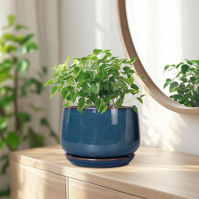 G EPGardening Ceramic Pot for Plants - Modern 7 Inch Round Planter with Drainage and Tray Indoor Outdoor for Flower, Porch Decor, Gardening Gifts, Retro Blue