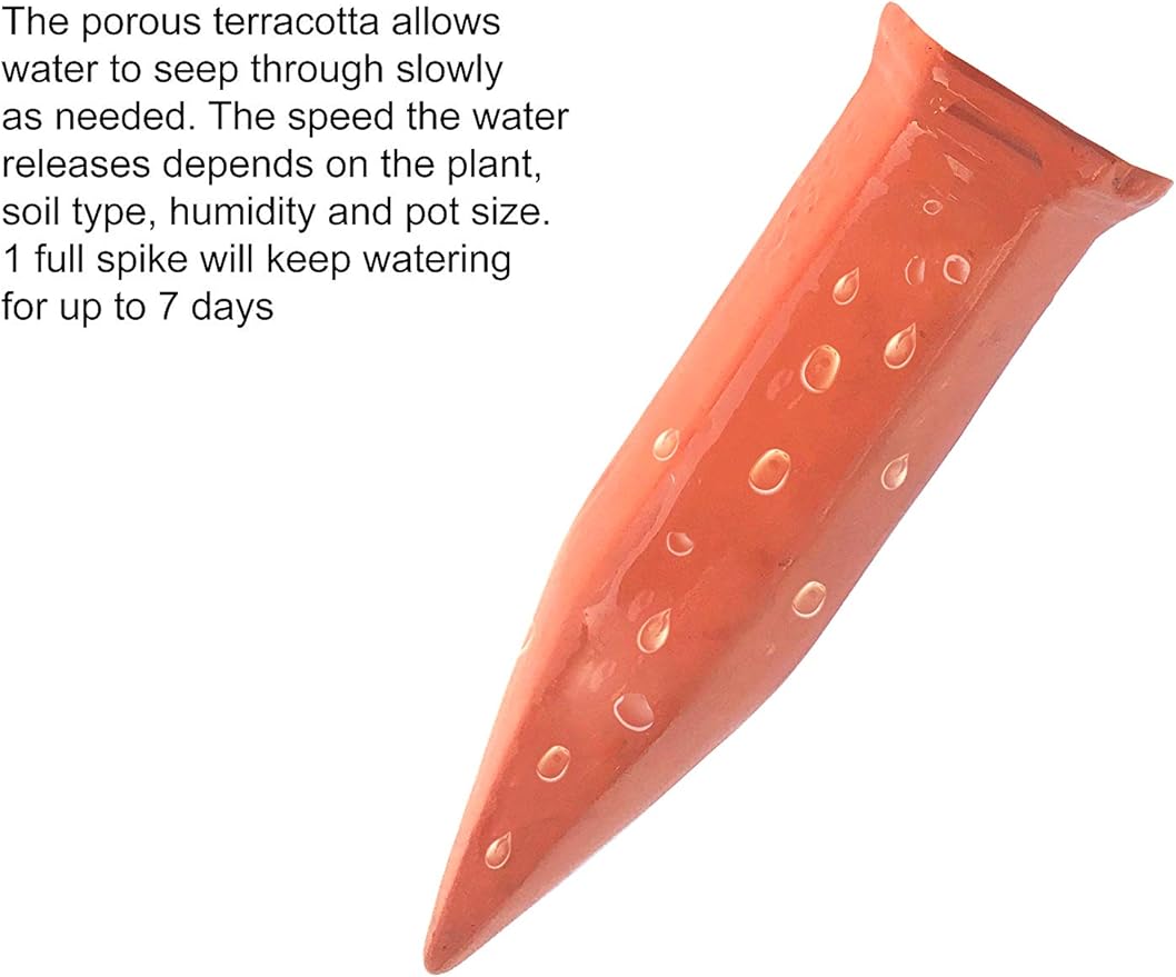 Terracotta Plant Self Watering Spikes - Set of 3 Terracotta Self Watering Bulbs, Self Watering Stakes, Self Watering Globes for Pot Plants (Birds Painted, Large)