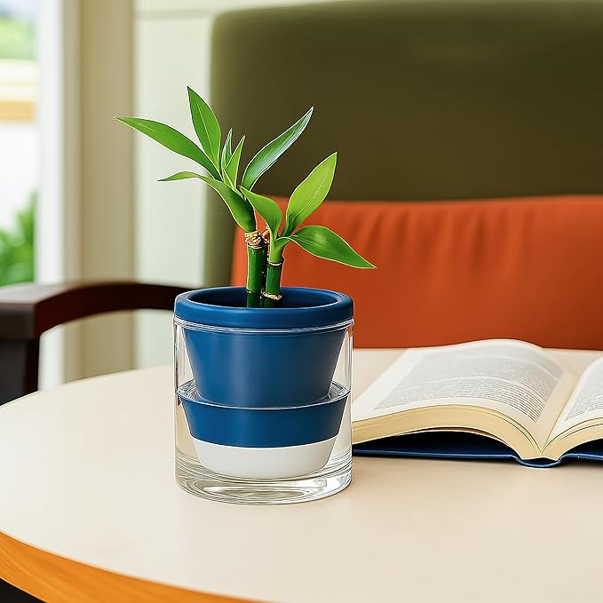 D'vine Dev 4 Inch Design Self Watering Planter for Indoor Plants, Blue Terracotta Pot with Cylinder Glass Cup, Set of 4, 37-Z-A-4-F