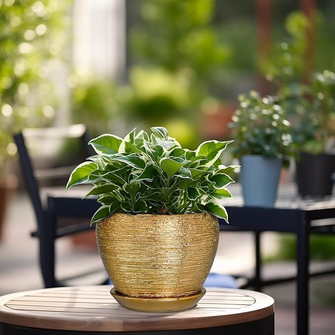 Indoor Plant Pot 6 Inch - Ceramic Pot for Plants Outdoor Planter with Drainage Hole and Saucer Round Decorative Planter Modern Flower Pot for Home Decor Gold