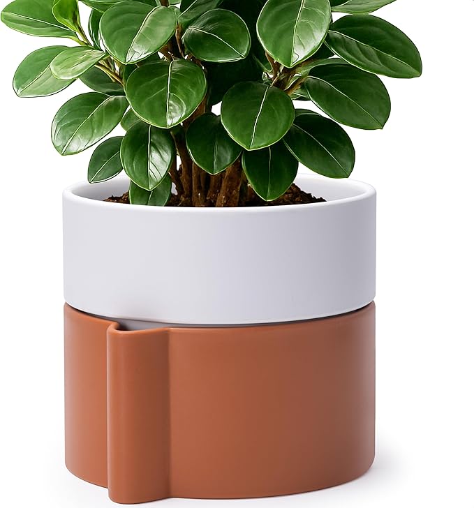 8 Inch Self-Watering Planter Pot with Terracotta Insert, Deep Water Reservoir, and Ceramic-Alike BPA-Free Plastic Planter Pot for Plant, Modern Planter for Houseplants, Terracotta/White, 53-B-T-6