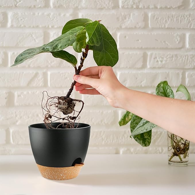 Indoor Pots For Plant Self Watering Plant Pots For Lazy People, 8/7.5/7/6.5/6/5.5/5 Inch,Black Plastic Self Watering Planter For All Houseplants,Succulent, African violets, Flowers And Cactus