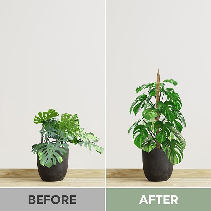 2 Pack 28'' Bendable Moss Pole Monstera Plant Support for Climbing Indoor Plants - Stakes for Potted Climbers - Tall Sticks Indoor Trellis for Houseplants - Accessories for Monstera Pot