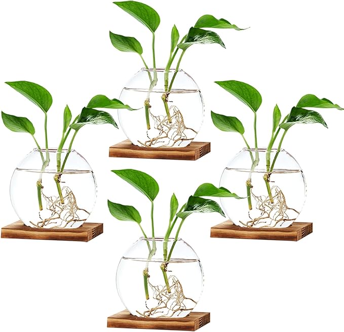 4 Pack Plant Propagation Station with Wooden Base Glass Terrariums for Indoor Plants Decorative Round Vases for Flowers Hydroponic Planter for Home Office Decor
