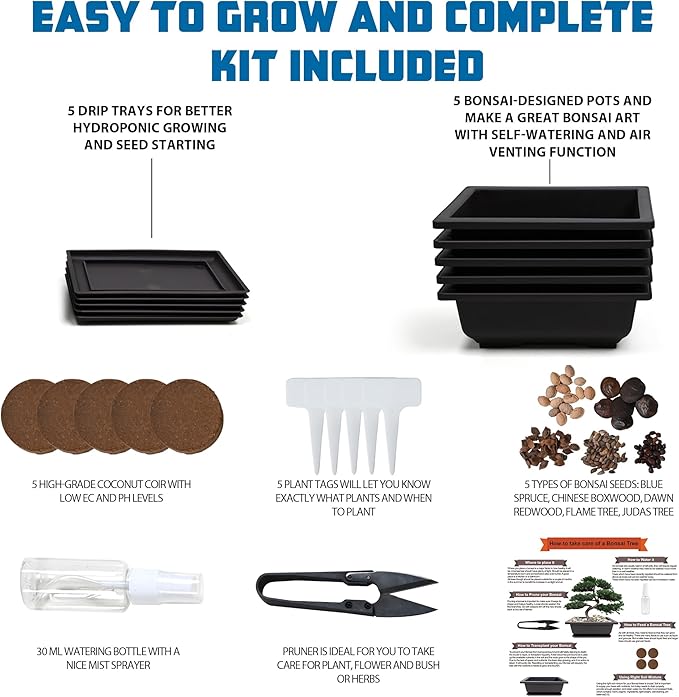 Bonsai Starter Kit, 5 Seeds Growing into Blue Spruce, Chinese Boxwood, Dawn Redwood, Flame Tree and Judas Tree, Including Complete Gardening Tools with A Gift Box, Christmas Gifts for Women